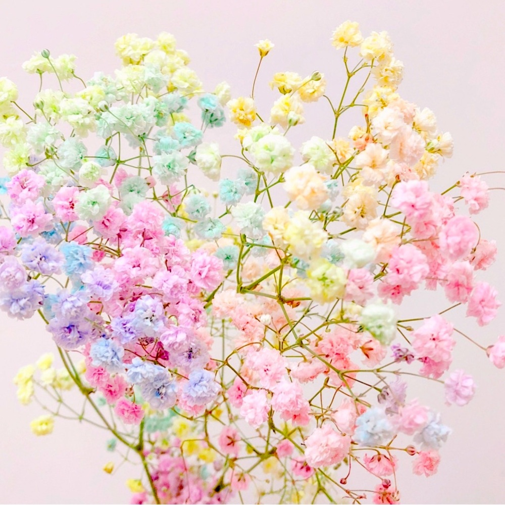 HELLO! Meet Fashannlee.